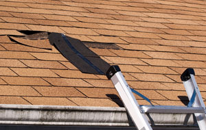 damaged shingles